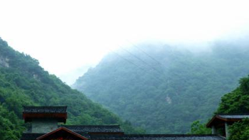 太平狮森林公园 