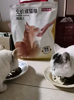 🐱喵星人专属美味！京东京造宠爱系列全价成猫粮大揭秘🐾