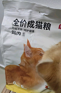 🐱喵星人专属美味！京东京造宠爱系列全价成猫粮大揭秘🐾