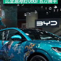 比亚迪海豹 06GT×《黑神话：悟空》官方痛车