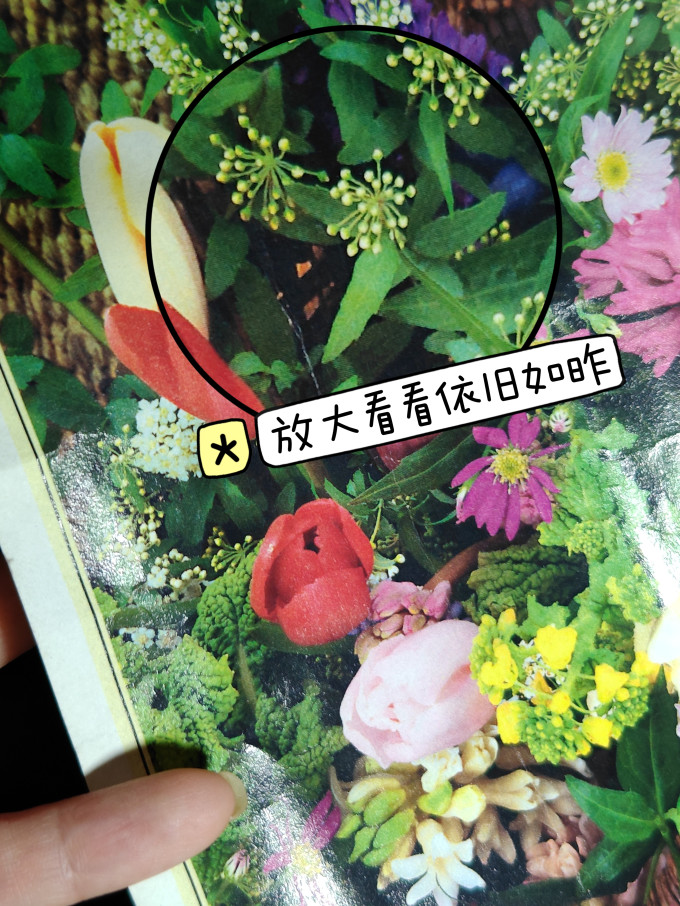 佳能激光打印机