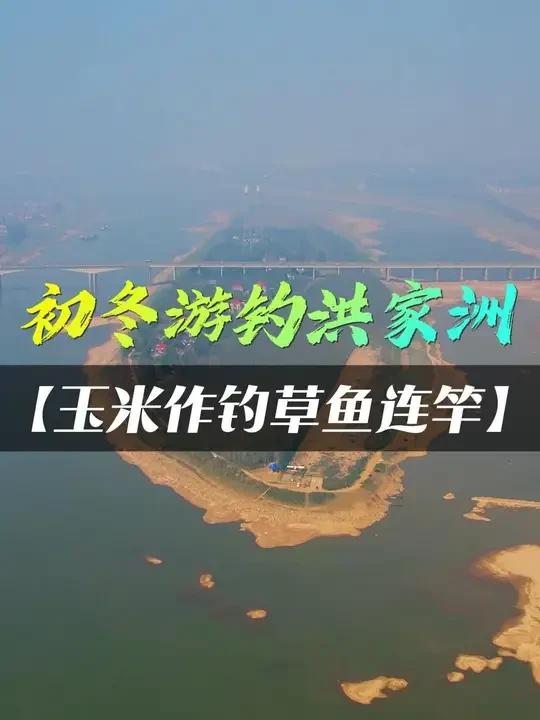 长沙野钓：初冬洪家洲，鱼也喜欢夜生活，打灯夜钓还能连竿草鱼 #夜钓 #钓鱼的乐趣只有钓鱼人懂 #钓鱼人