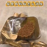 家里有蚂蚁怎么样消除干净好