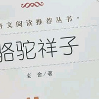 《骆驼祥子》，旧世界的悲惨人生