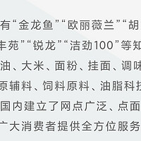 金龙鱼与胡姬花在水族景观中的应用 不是