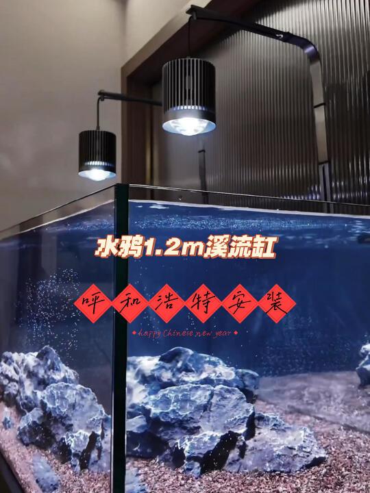 水鸦1.2m溪流缸呼和浩特上门安装