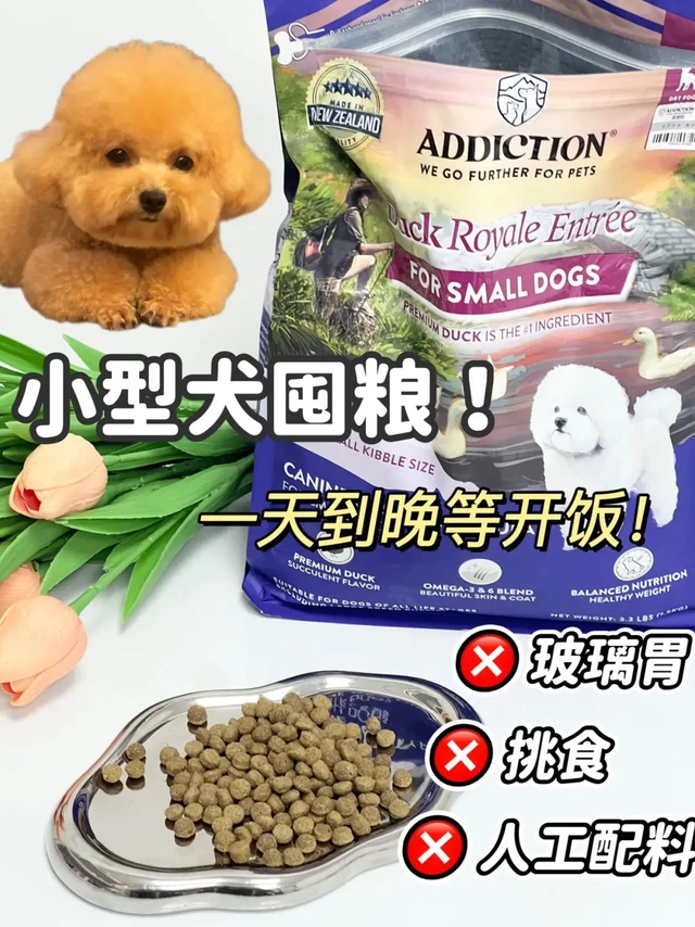 拒绝玻璃胃✨小型犬到底囤什么粮！