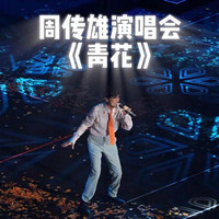 周传雄音乐会《青花》深情演绎，重温往昔爱情故事