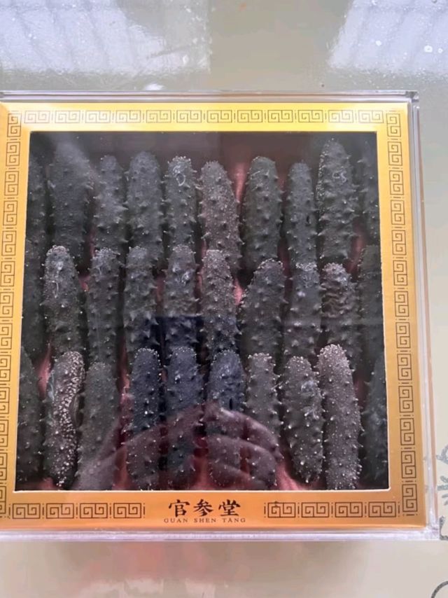 大连底播淡干海参干货