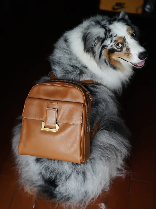 秋冬季的金棕小书包🎒