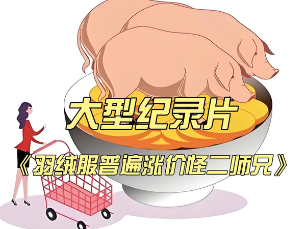 大型纪录片《羽绒服普遍涨价怪二师兄》
