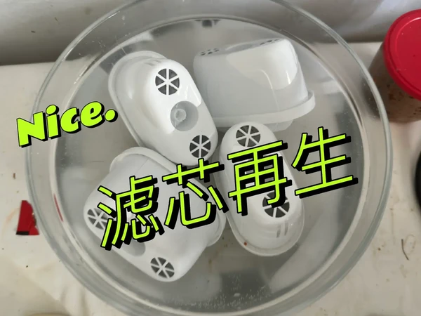 留子省钱技巧:滤水壶滤芯再生