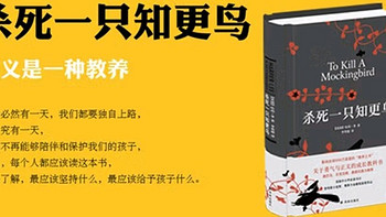 哈珀·李力作，获普利策小说奖《杀死一只知更鸟》！