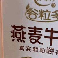 伊利谷粒多 生椰燕麦牛奶整箱 200ml*12盒 早餐伴侣 礼盒装