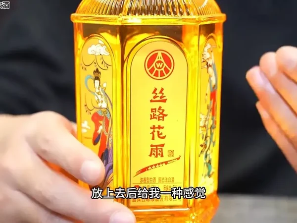 五粮液丝路花雨52度浓香型白酒礼盒装52度500mL 2瓶【报价价格评测怎么