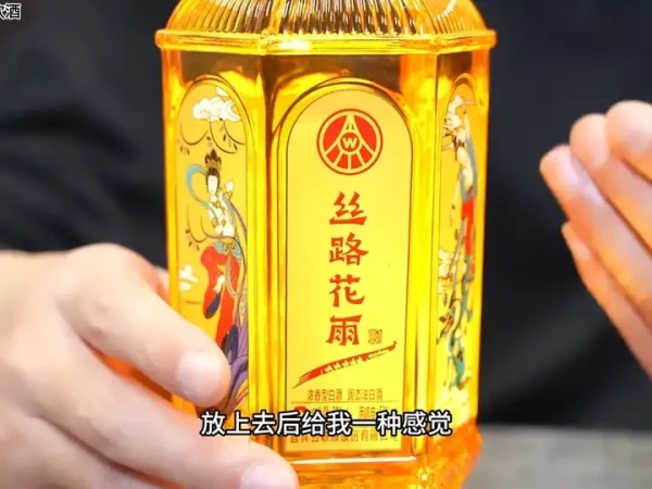 五粮液丝路花雨52度浓香型白酒礼盒装52度500mL 2瓶【报价价格评测怎么