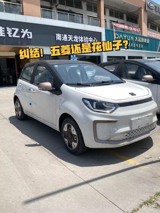 纠结五菱还是江淮的花仙子
