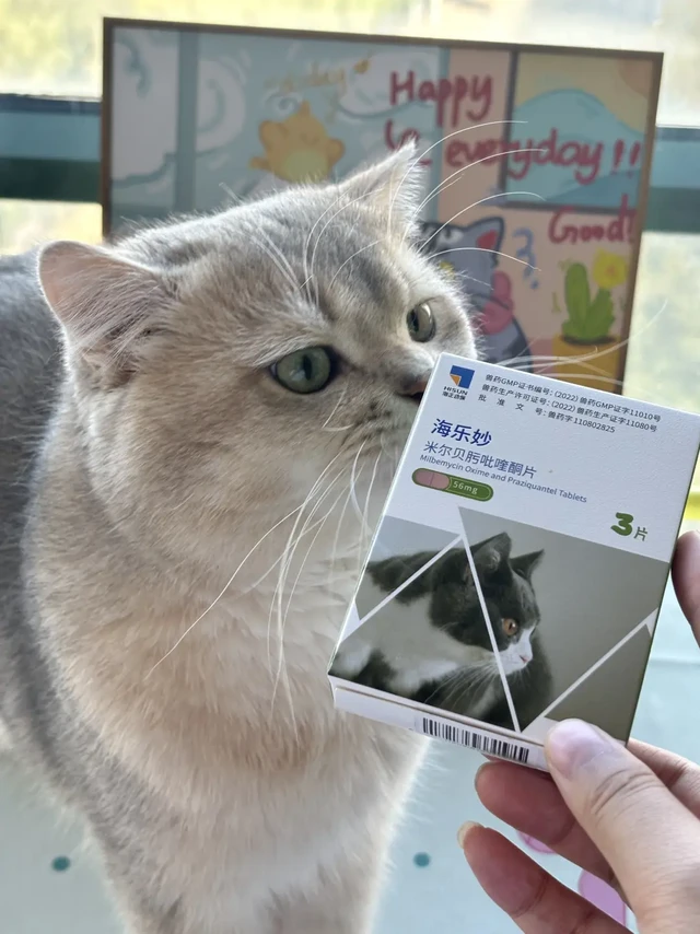 新手养猫🐱看过来！｜驱虫篇