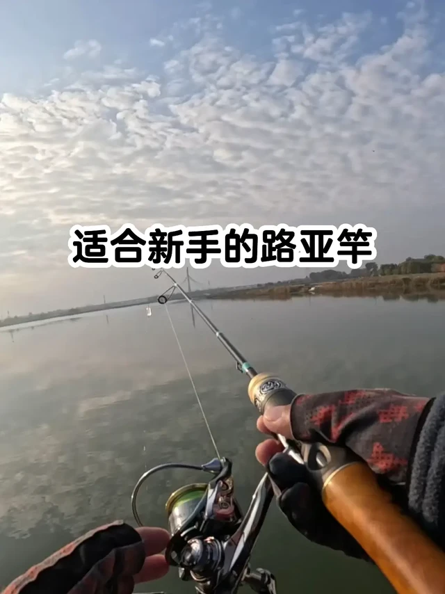 适合新手的路亚竿
