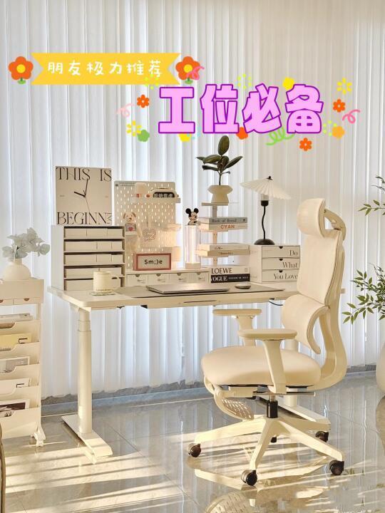 papi酱同款严选小蛮腰人体工学椅贼舒服