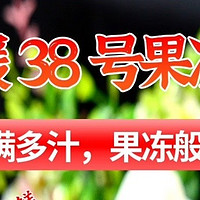 春福乐爱媛38号果冻橙：春日的自然馈赠