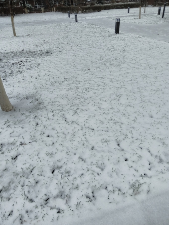 冰淇淋/雪糕