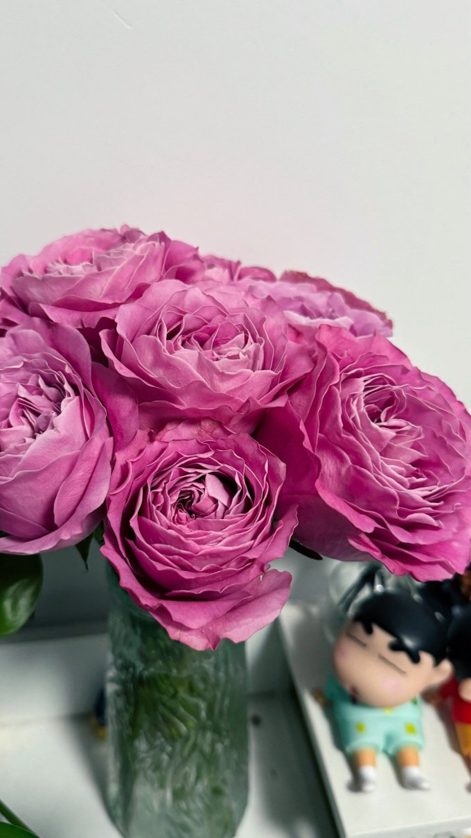 鲜花