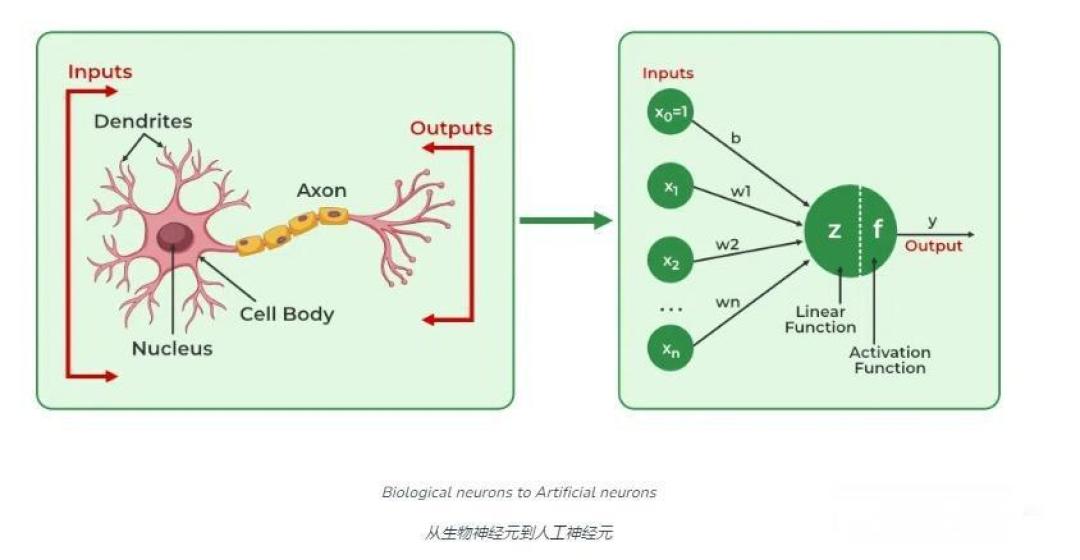 CPU中的NPU:AI应用的性能与效率革命
