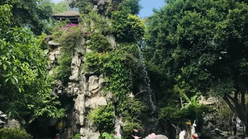 品味顺德：岭南文化深度探索与美食大搜罗 