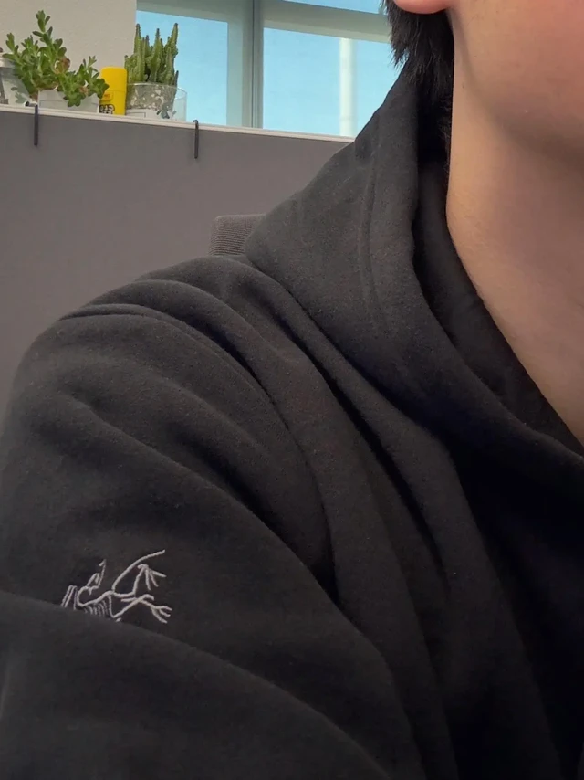 「上班穿什么」系列之始祖鸟 hoodie|||
鸟家新上的 hoodie 真不错。

偶然逛街发现始祖鸟上了秋冬款帽衫，内里加绒，而且里外摸起来都非常柔软，非常适合秋天外穿冷冬内搭，保暖系数较高。

