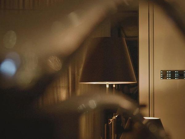 推荐品牌丨摩根全屋智能：以全球大师设计，勾勒当代墅居新范本