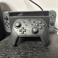 有些东西真的无法平替，入手Switch Pro才算圆满！