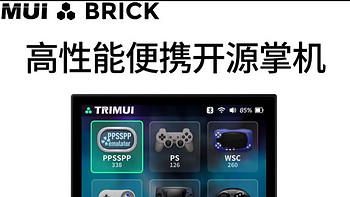 治迅吹米TRIMUI BRICK复古游戏机～回忆童年的游戏