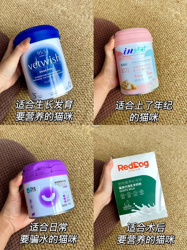 自喂猫咪羊奶粉分享 只买对的不买贵的