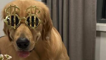 陪伴它走过每一个特别的日子。 