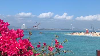 冬季避寒胜地推荐：温暖宜人的南方城市旅游攻略 