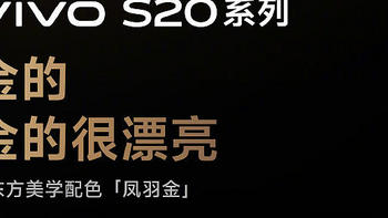 符合年轻人审美！vivo S20系列凤羽金优雅迷人，今晚发布