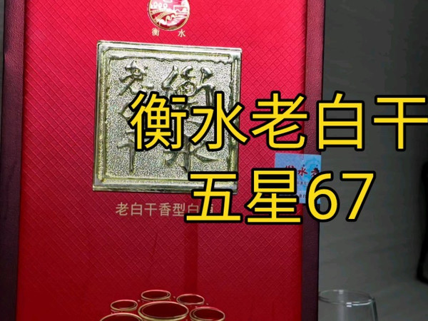 品味分享:衡水老白干五星67
