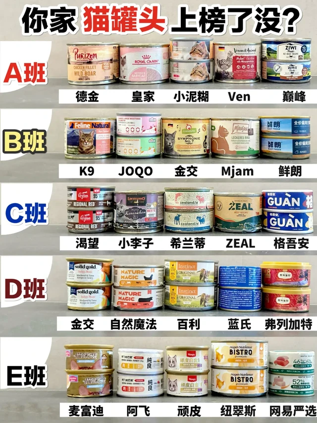 穷养猫分享！双12新品猫罐头做功课真的香！