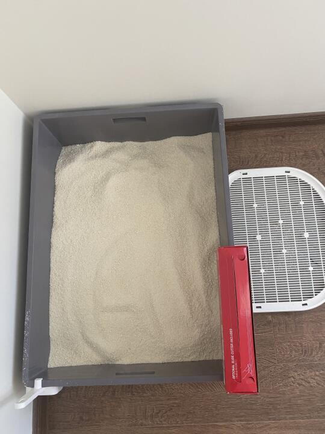 打造猫咪舒适空间:选择与布置优质猫砂盆的完整指南