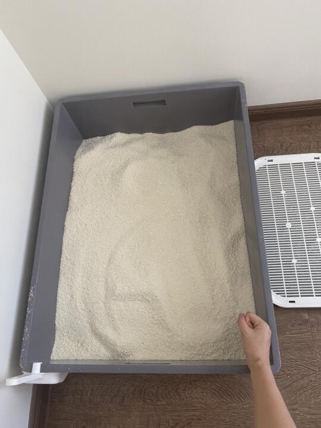 打造猫咪舒适空间:选择与布置优质猫砂盆的完整指南