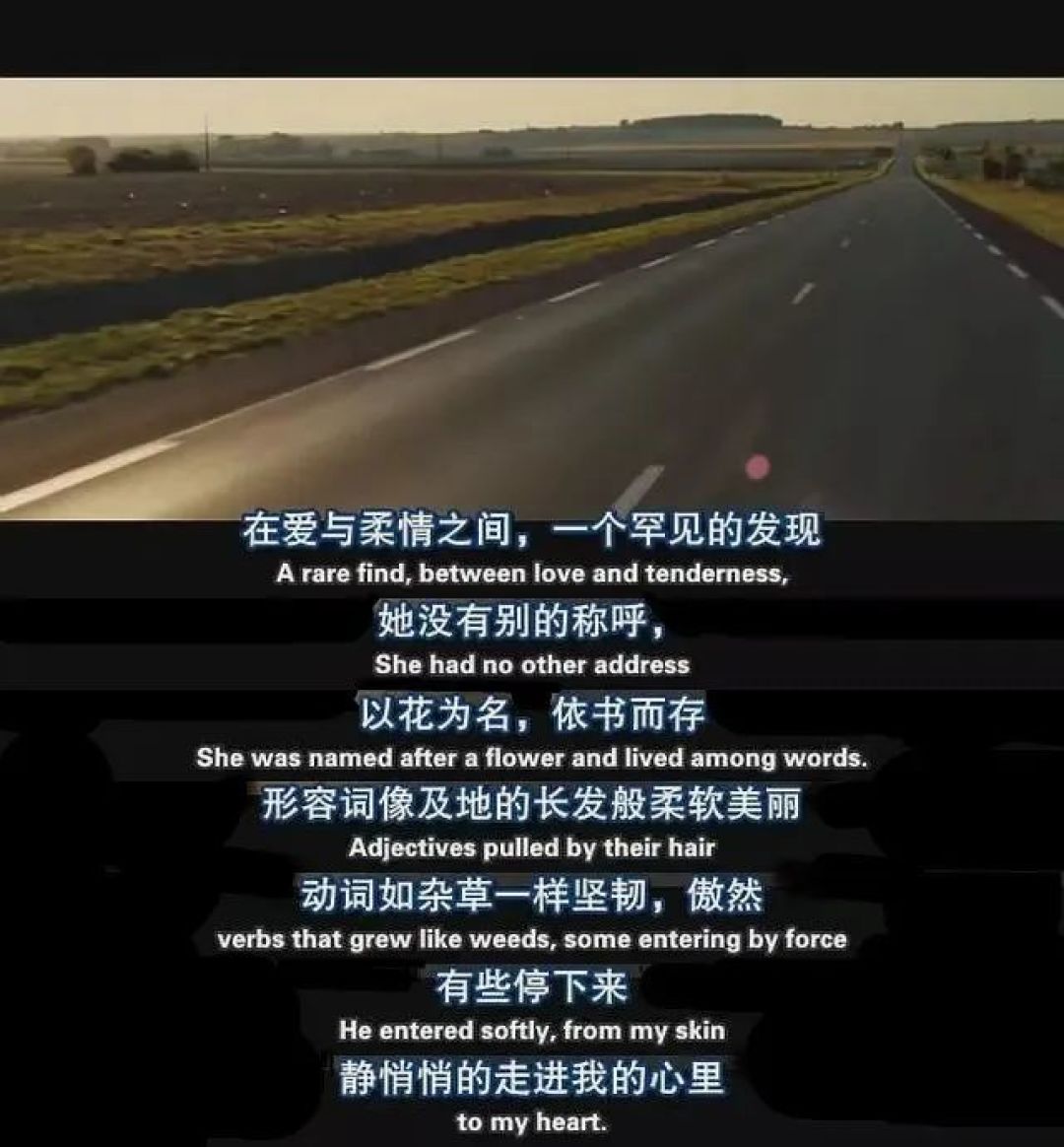 《与玛格丽特的午后》为何能获得超高评价?爱与成长的动人诠释