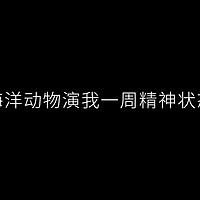 海洋动物演我一周精神状态