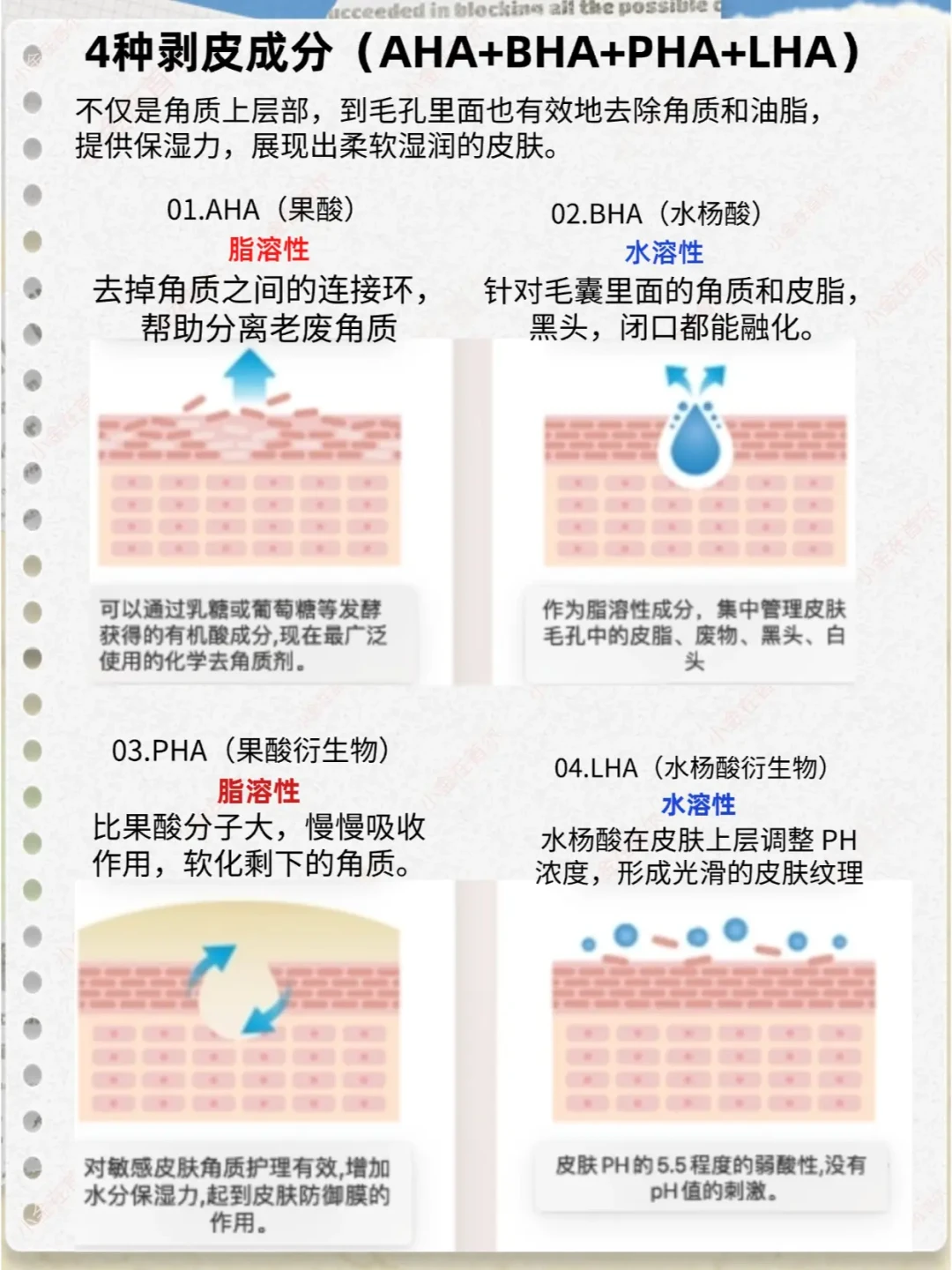果酸与水杨酸护肤品的科学使用方法和注意事项