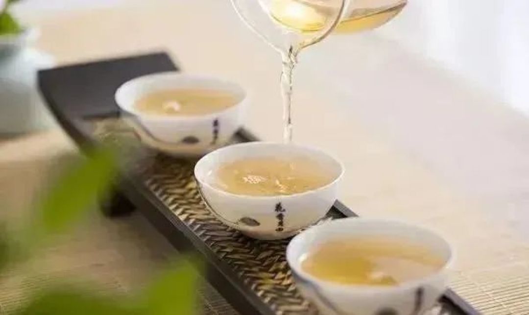 普洱茶储存指南:南方湿仓与北方干仓的优缺点详解