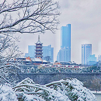 南京下雪的美景