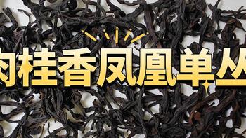 新希肉桂香凤凰单丛测评，他的香气特点怎么样？ 
