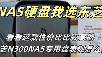 NAS硬盘我选东芝，看看这款性价比比较高的东芝N300NAS专用盘表现怎么样