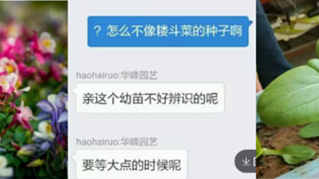 作为养花人，谁还没买过宿迁苗木“盲盒”啊？