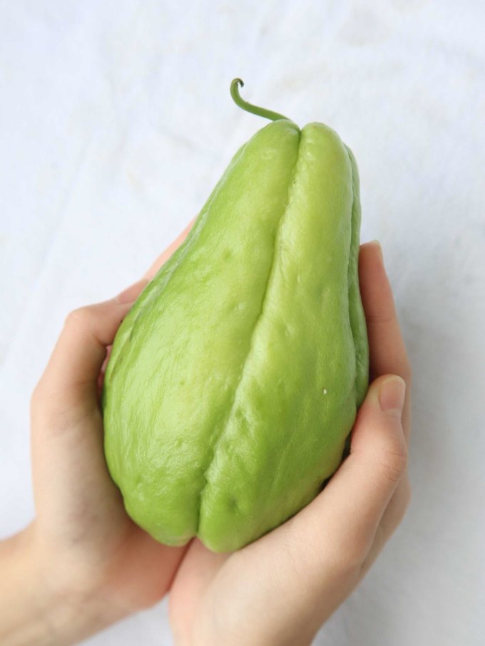 人称千金菜的佛手瓜你吃过吗